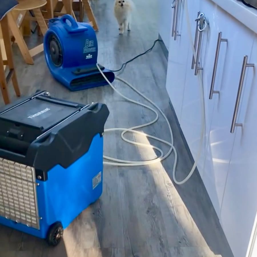 A blue air mover and dehumidifier drying a timber floor in a kitchen