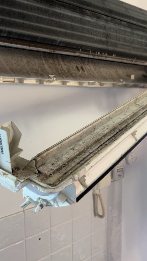 The build-up inside Anna C.'s split system, photographed by the customer