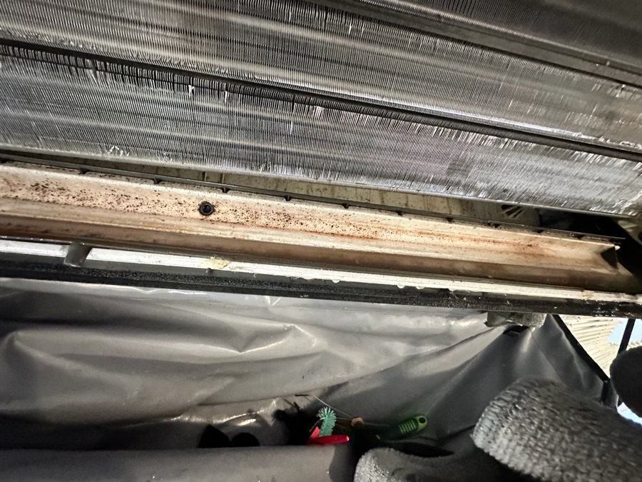 Mould build-up on the coil of Debbie G.'s split system, photographed by the customer
